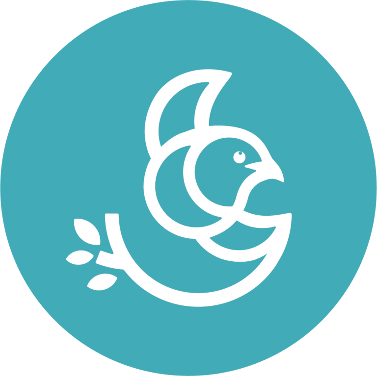 Grey St Growing Wings